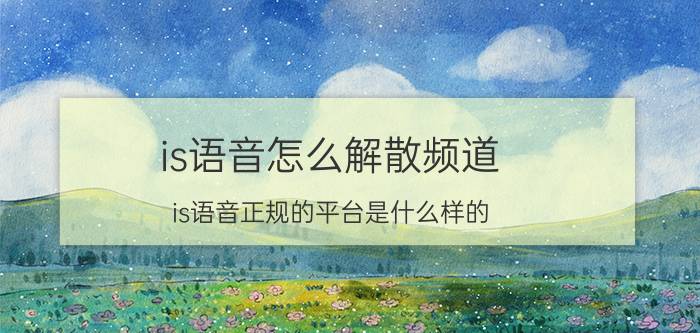 is语音怎么解散频道 is语音正规的平台是什么样的？